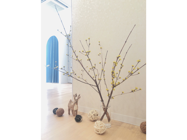 店舗のなかの様子